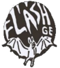 G.E. FLASH